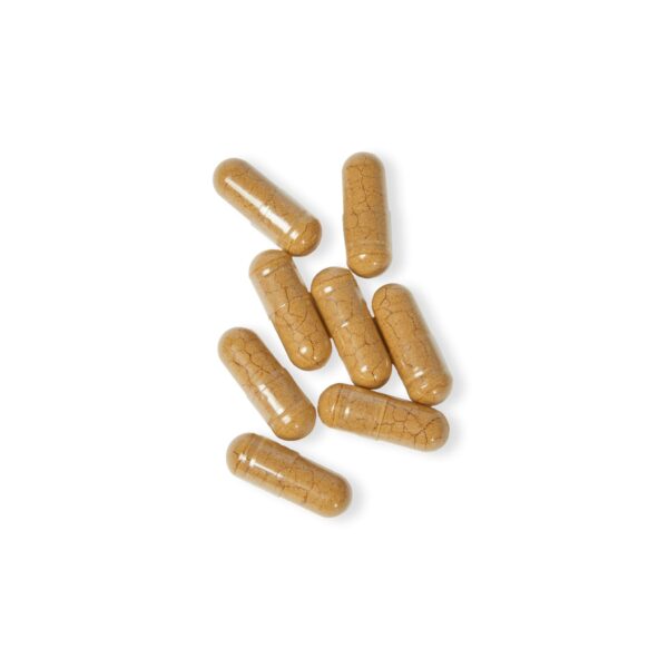 Mushroom Blend for Immune Support, Promotes Wellness, Energy, Mental Clarity - Image 5