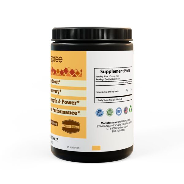 Creatine Monohydrate for Promoting Physical Performance, Strength, Endurance - Image 3